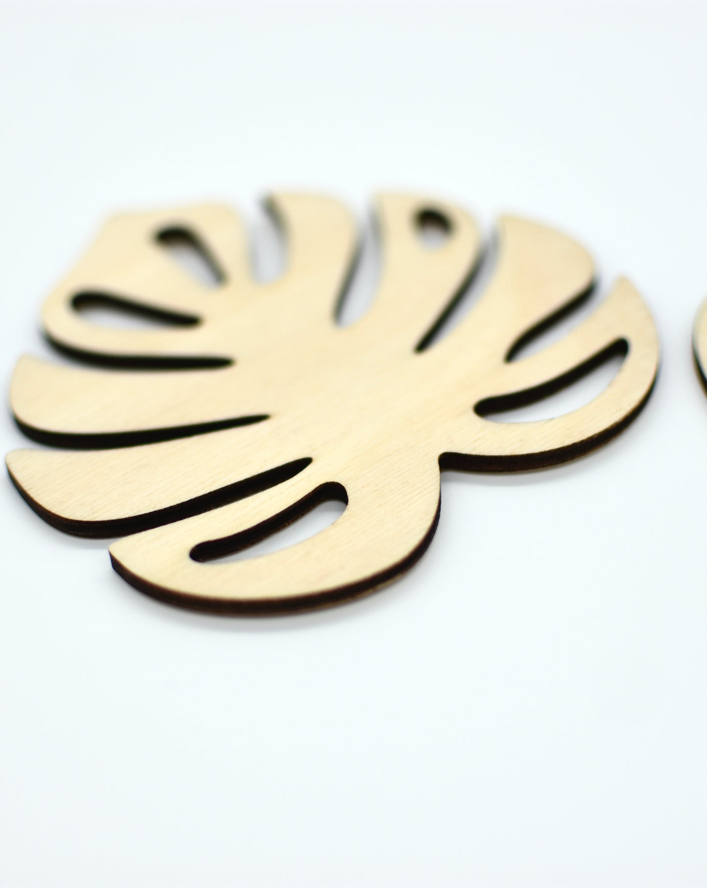 Monstera Leaf Wood Coasters - Set of 6 - HappyBundle