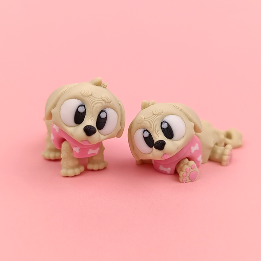 Golden Retriever Puppy