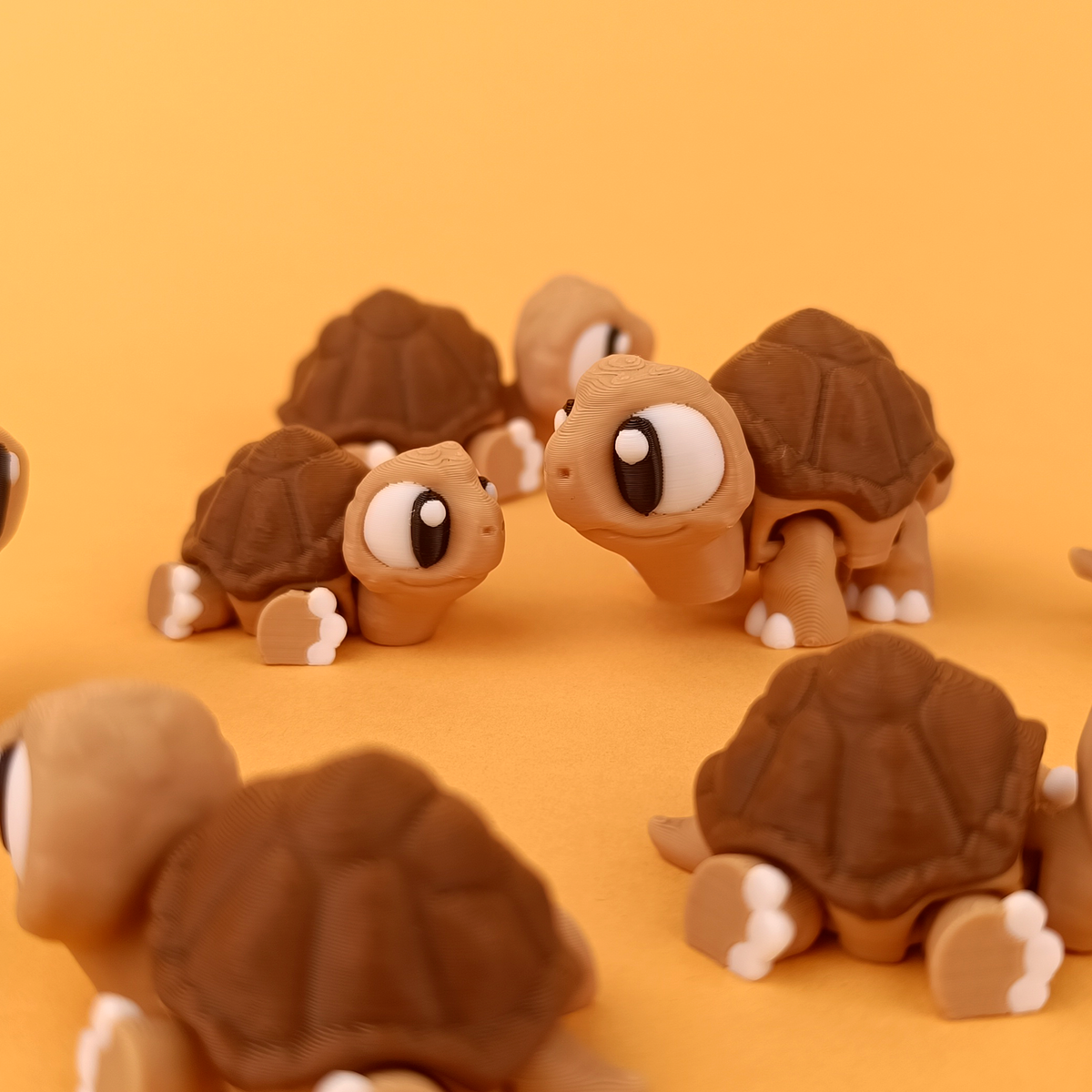 Flexi Tortoise