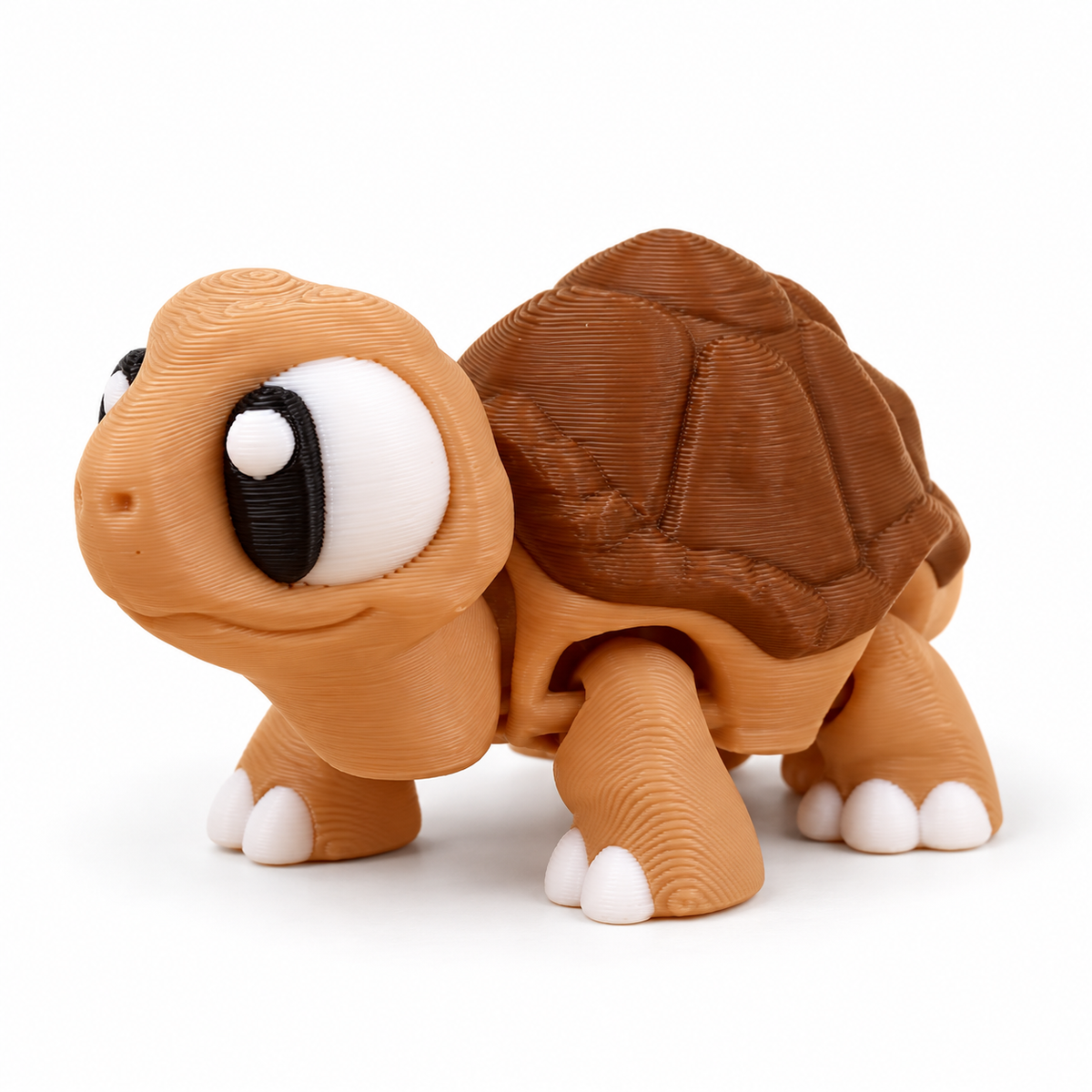 Flexi Tortoise — included in Sandy Trail Crew — 5 Animals; edited reference image on white.