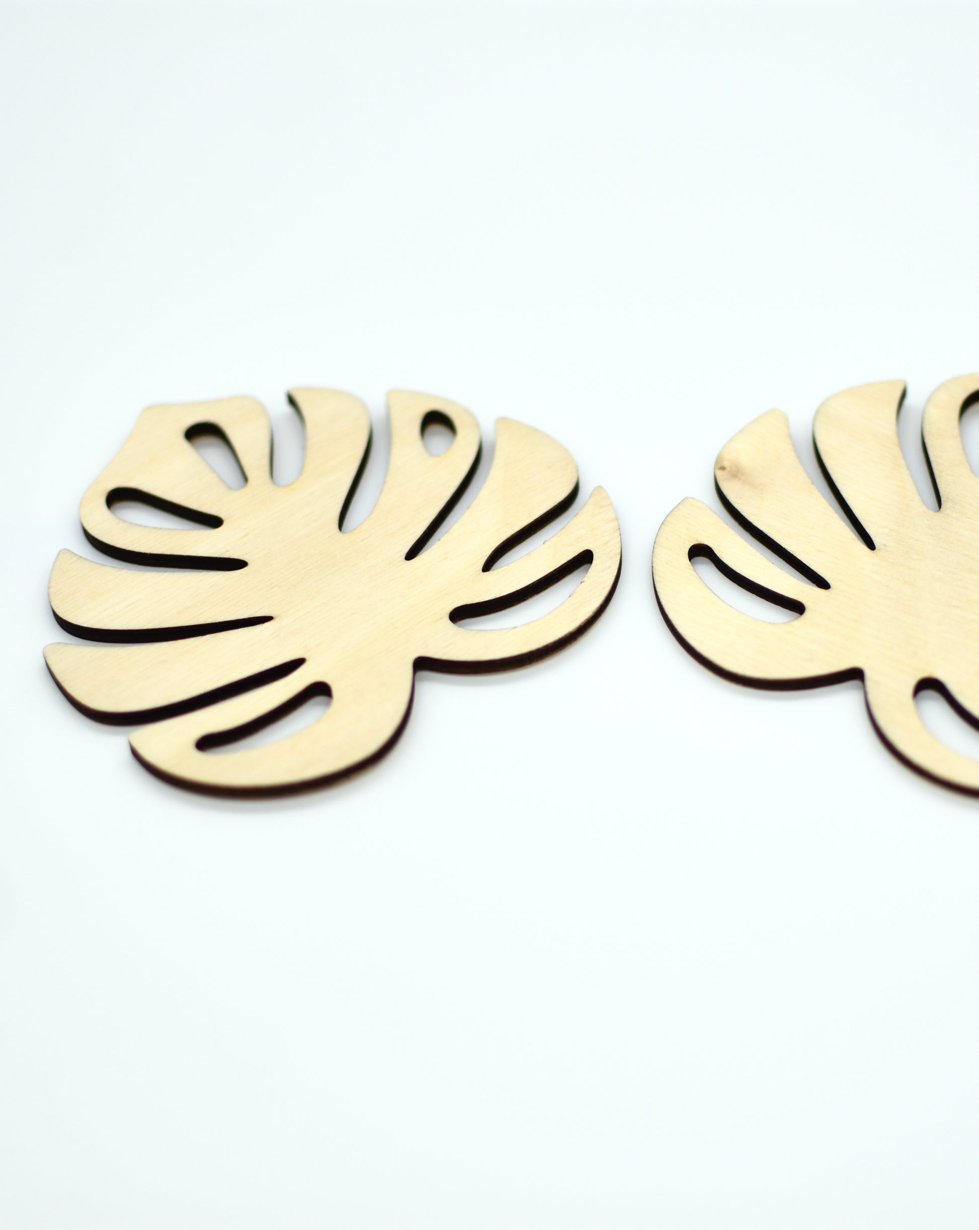 Monstera Leaf Wood Coasters - Set of 6 - HappyBundle