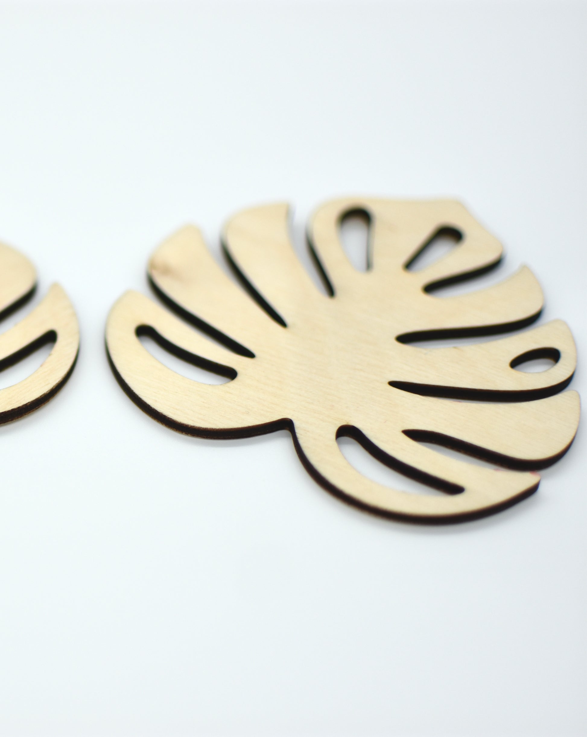 Monstera Leaf Wood Coasters - Set of 6 - HappyBundle